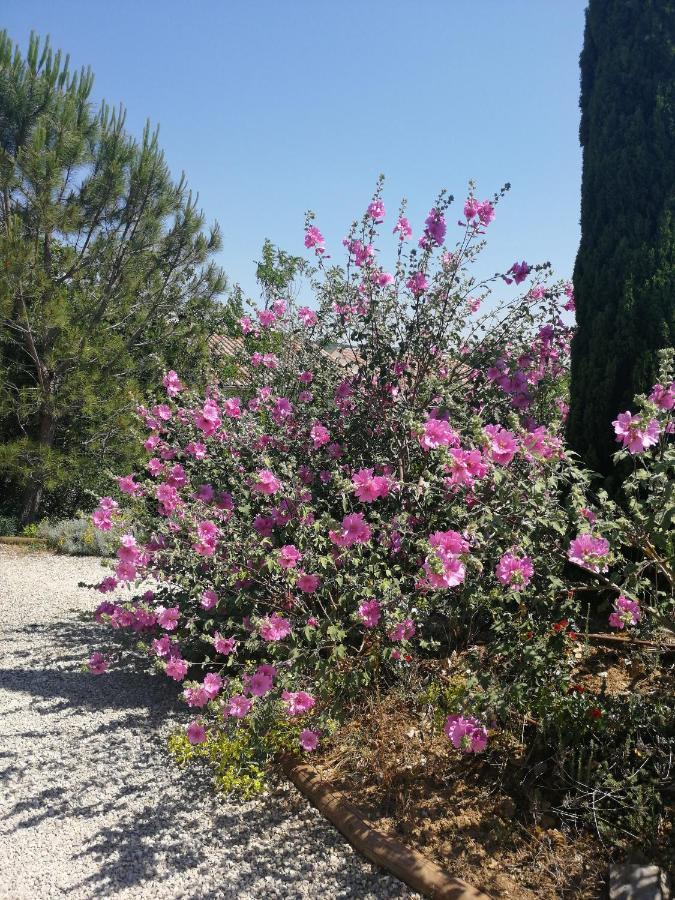 Gite Le Mas De Molines Vogue Εξωτερικό φωτογραφία
