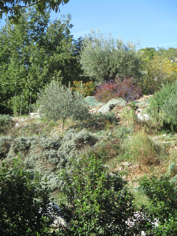 Gite Le Mas De Molines Vogue Εξωτερικό φωτογραφία